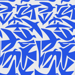 TIMO KUILDER - Poncho von RAINKISS