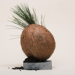 Blockseife 001 von TERRORISTS OF BEAUTY